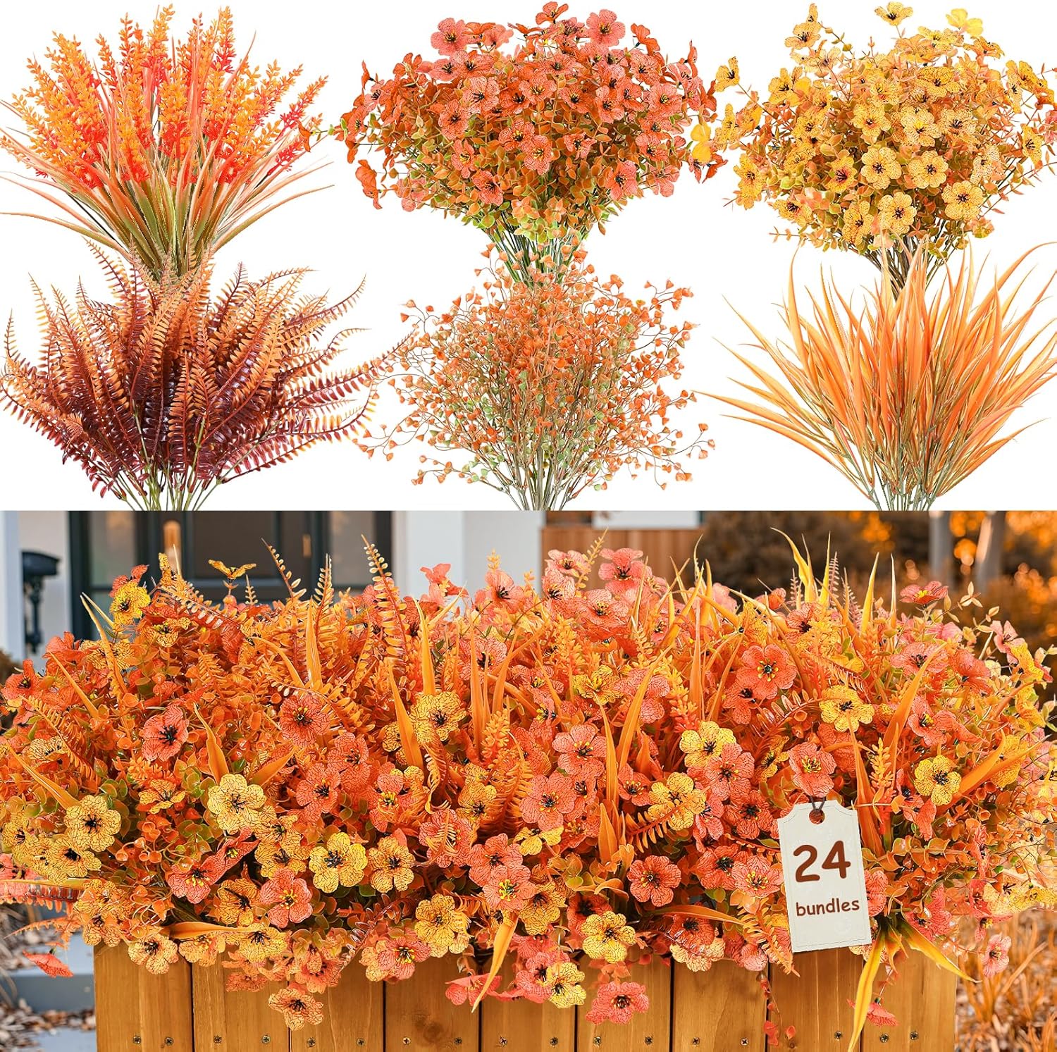 Imagen de B0F8B2Q6PT