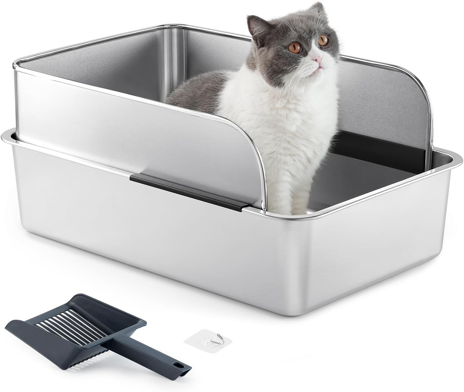 Imagen de B0F9PBV1T4