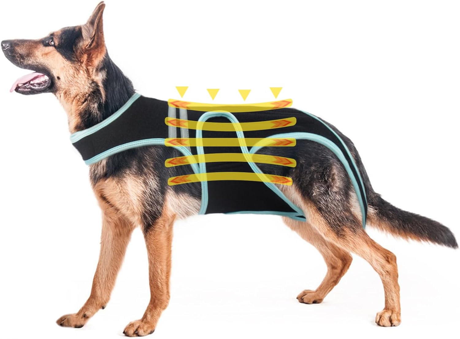 Imagen de B0FBRZMPB8