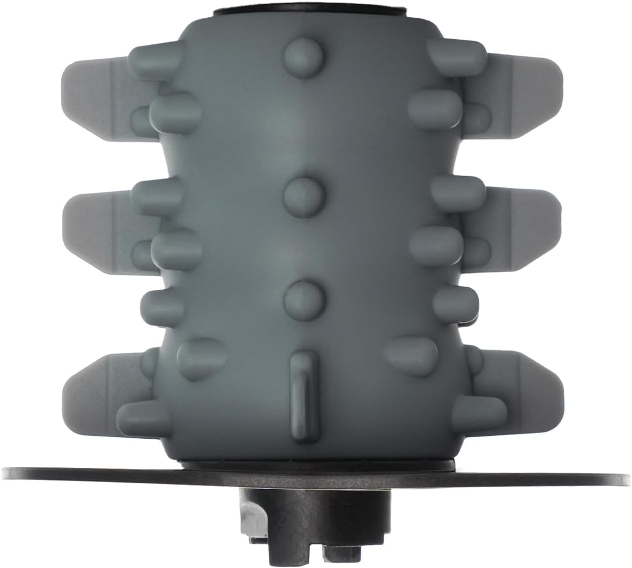 Imagen de referencia del artículo