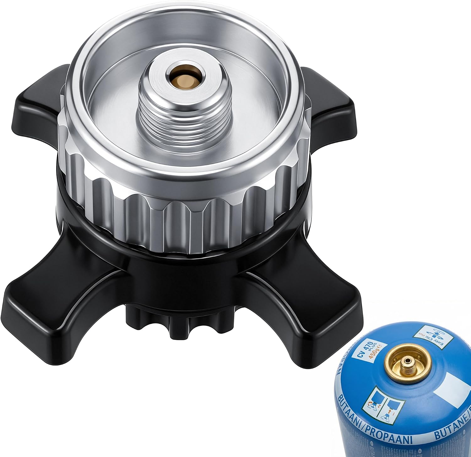 Imagen de referencia del artículo