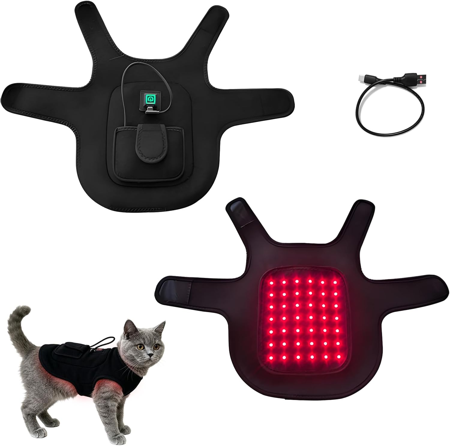 Imagen de referencia del artículo