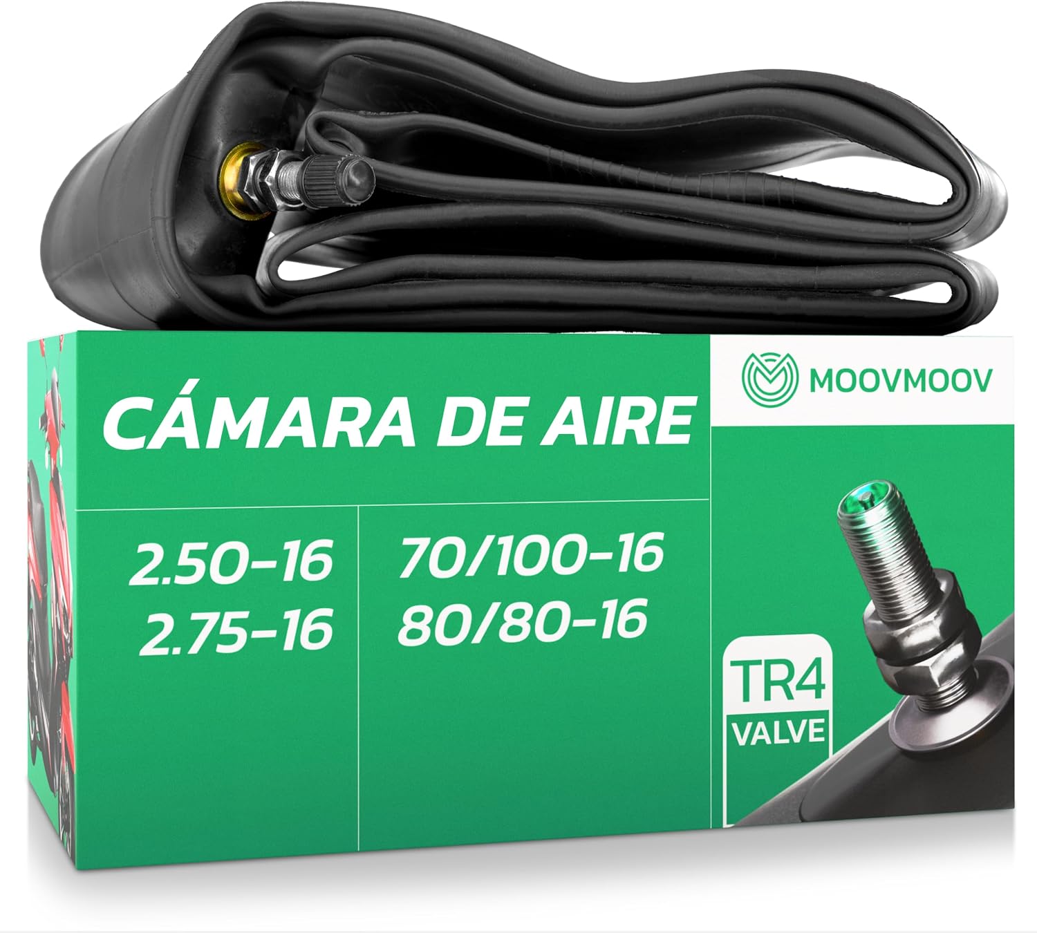 Imagen de referencia del artículo